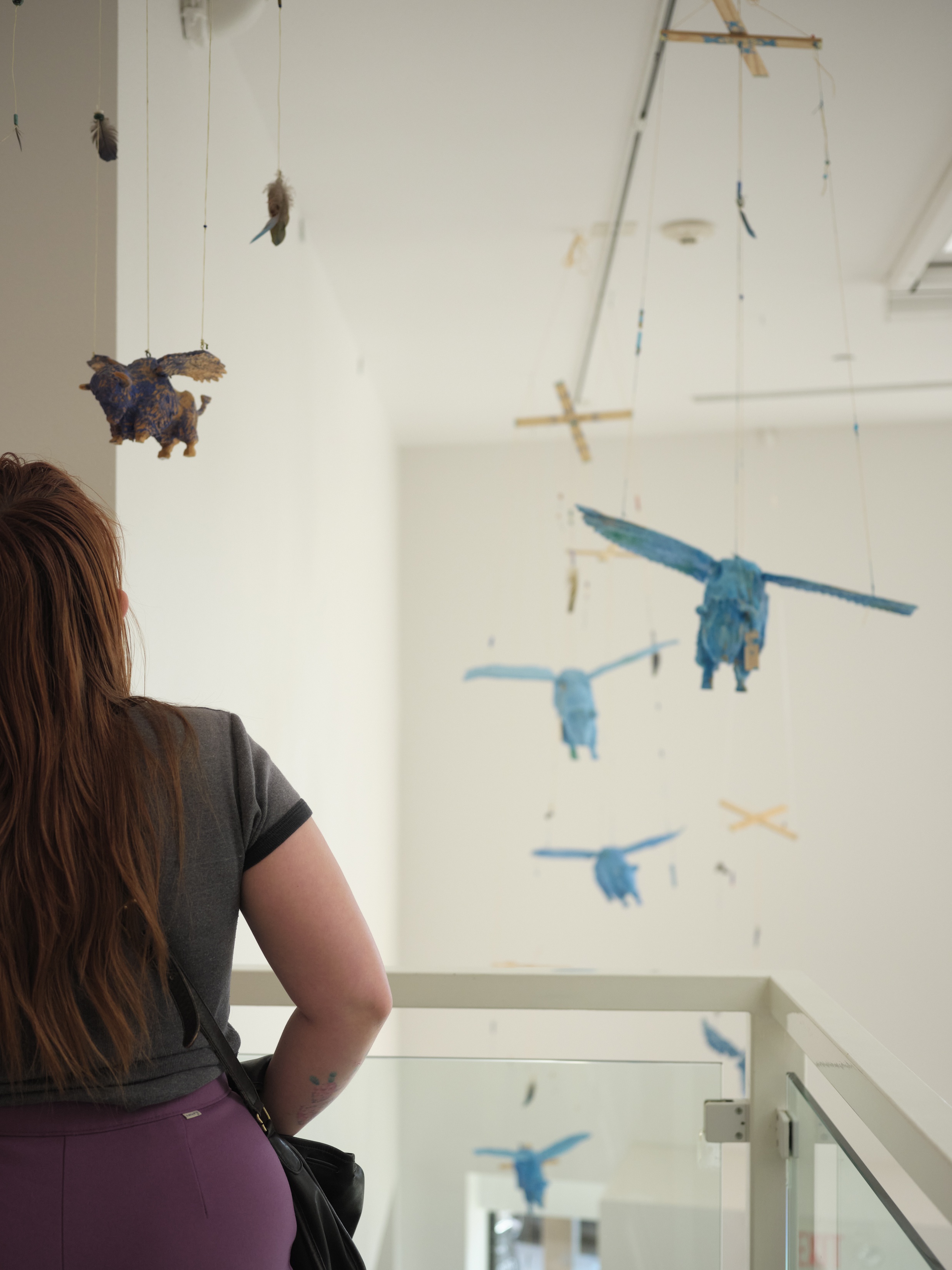 woman stares at flying blue buffalo